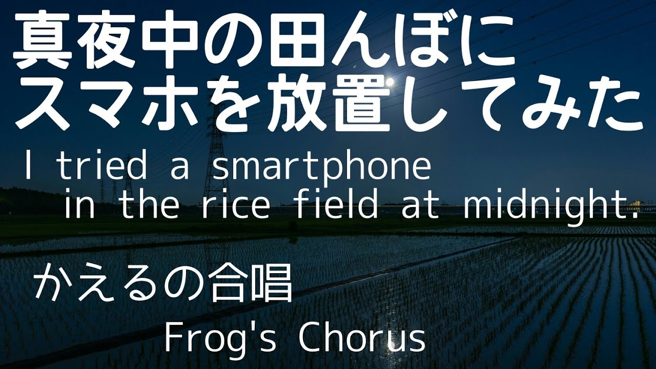 真夜中の田んぼにスマホを放置してみた I Tried A Smartphone In The Rice Field At Midnight かえるの合唱 Frogs Chorus 60分 Youtube