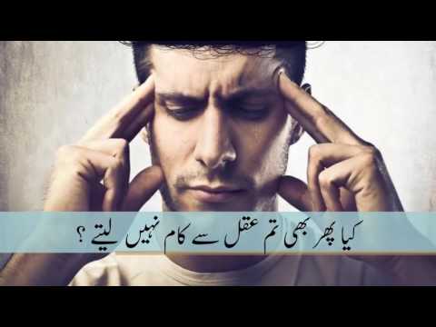 Very Beautiful Quran Heart touching Surah Yaseen with Urdu Translation HD