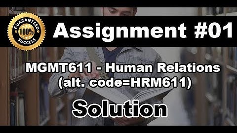 MGMT611 Assignment # 01 Solution Fall 2020 with Solution File