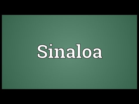 सिनालोआ Meaning