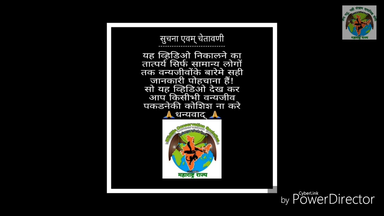 camera iphone 8 plus apk बिनविषारी तस्कर सर्प / common trinket snake