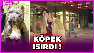 Burak Deniz'i Köpek Isırdı