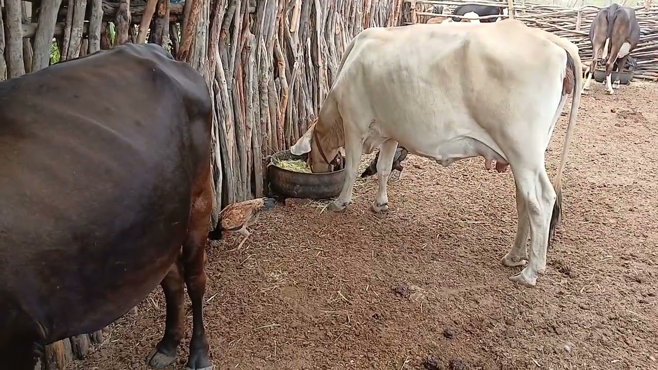 ESSE É PARA QUEM VALORIZA O SILÊNCIO 