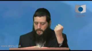 הדף היומי - מסכת עירובין דף ס"ה