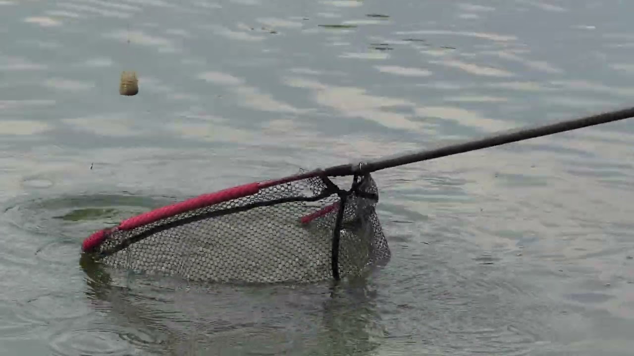 retour a plancoet 2022 06 22