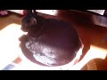 黒猫ジジ カギしっぽ