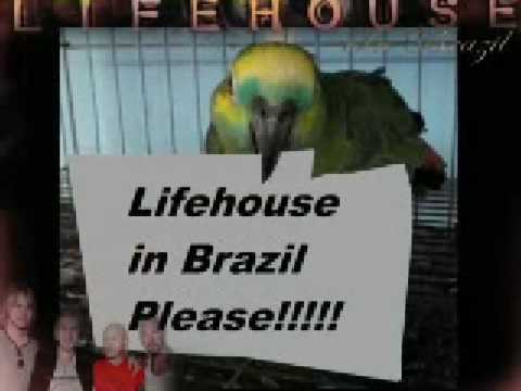 Projeto Lifehouse In Brazil (Video)
