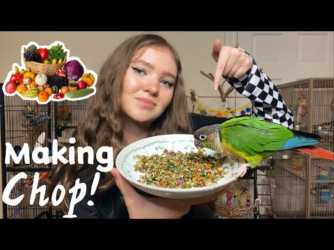 MAKE PARROT CHOP WITH ME! | how to make bird food