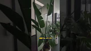 🧾인테리어 완비된  동탄사무실 매매! 회의실·탕비실·대표실까지! 깔끔하게 갖춘 실리콘앨리 명품 호실 #동탄사무실 #인테리어사무실 #동탄신도시부동산 #동탄지식산업센터 #실리콘앨리