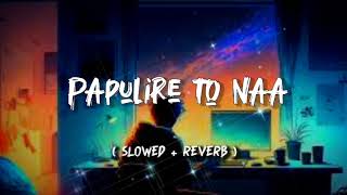 Papuli Re To Naa New Odia  Song !! ( Slowed + Reverb) Romantic Odia Lofi Song !! Slowed Ayush