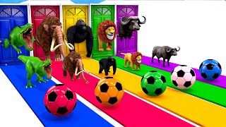 Cow Tiger Mammoth Elephant Dinosaur Bull Buffalo Choose Right Door Game Challenge Video