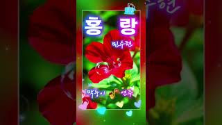 홍랑 -민수현#막둥이 알토색소폰 연주 #막둥이y_saxophone 🐰🐰♥️
