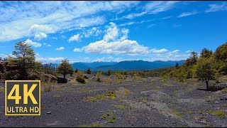 Clear Canyon Nature Walk 4K (With Ambient Nature Sounds And Music)