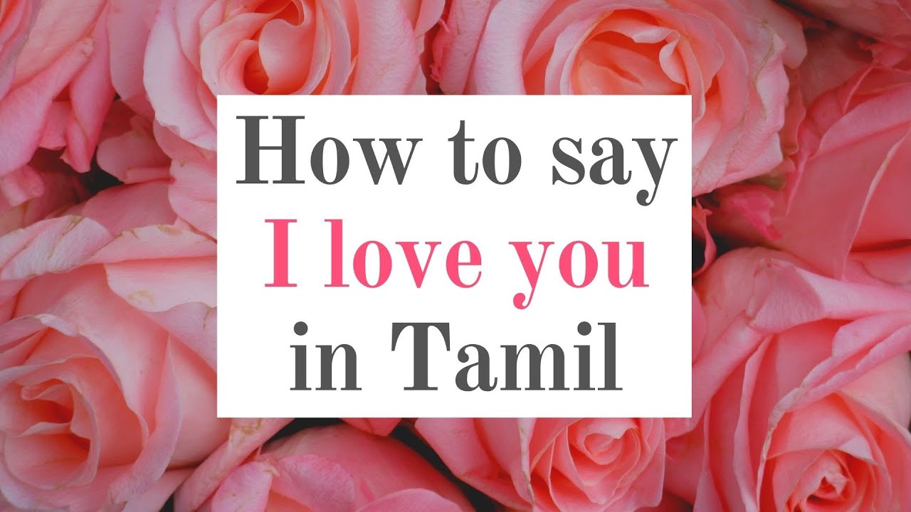 How to say I love you in Tamil - நான் உங்கள ...