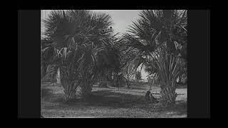 Outside Manila During the American Colonial Era