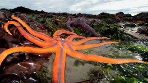 Introduction to Philosophy.wmv