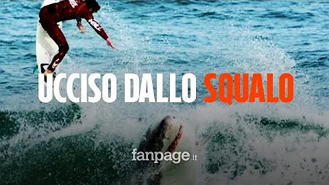 Quanto è grande lo squalo più grande al mondo?