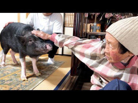 Great-grandmother's change of heart when she didn't understand