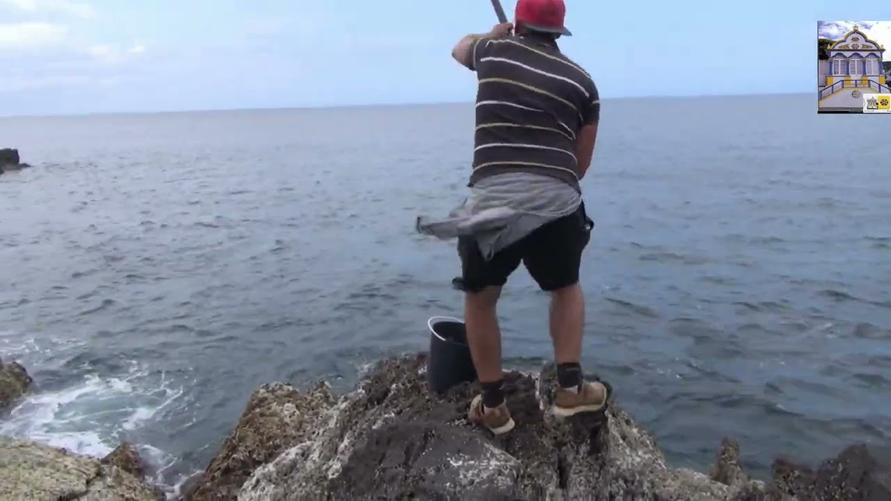 BOA PESCARIA DE VEJAS