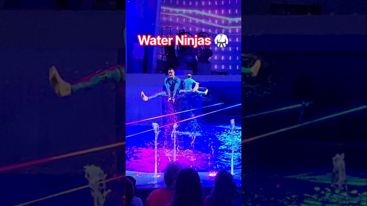 🤯Coordinated Acrobatics