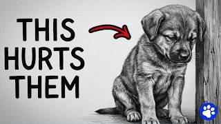 Celebrity These 9 Everyday Things HURT Your Dog's Feelings Profile