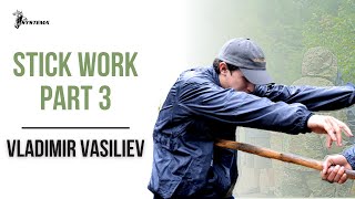 Systema Vasiliev - Stick Work Part 3