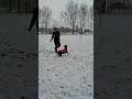 #journey #godisgood #fun #puppy #snow #family #love #healing #motivation #faith