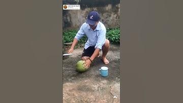 búa lấy nước dừa cực nhanh #garden #videoviral