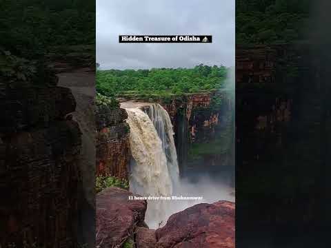 KHARALDHAS WATERFALL NUAPODA BLACK BUCK Blackbuck Odishatourism Trend Trending Waterfall 
