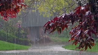 Успокаивающая волшебная природа  ☘️ Звуки летнего дождика💦 с грозой ⚡️/ On-line meditation Rain