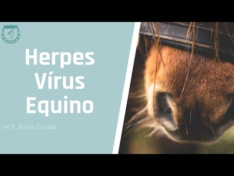 Vídeo: Vírus Do Herpes Equino