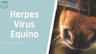 Herpes Vírus Equino