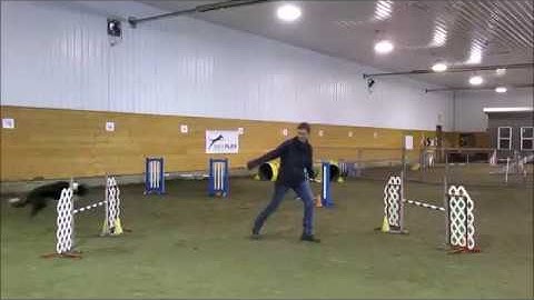 OneMind Dogs Handling Techniques: blind cross