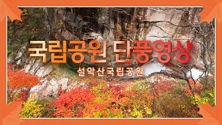 [HD][국립공원 단풍영상] 설악산국립공원 단풍영상