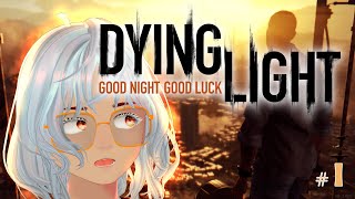 [Dying Light] WDYM good night good luck?!?! Im scared..... |_・) *first time playing