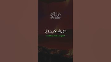 الذين كذبوا على الله وجوههم مسودة || سورة الزمر 61-62
