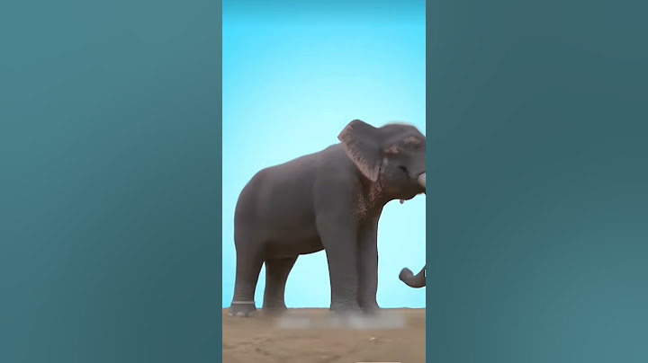 See how humans fool elephants #facts #amanzingfacts #viral