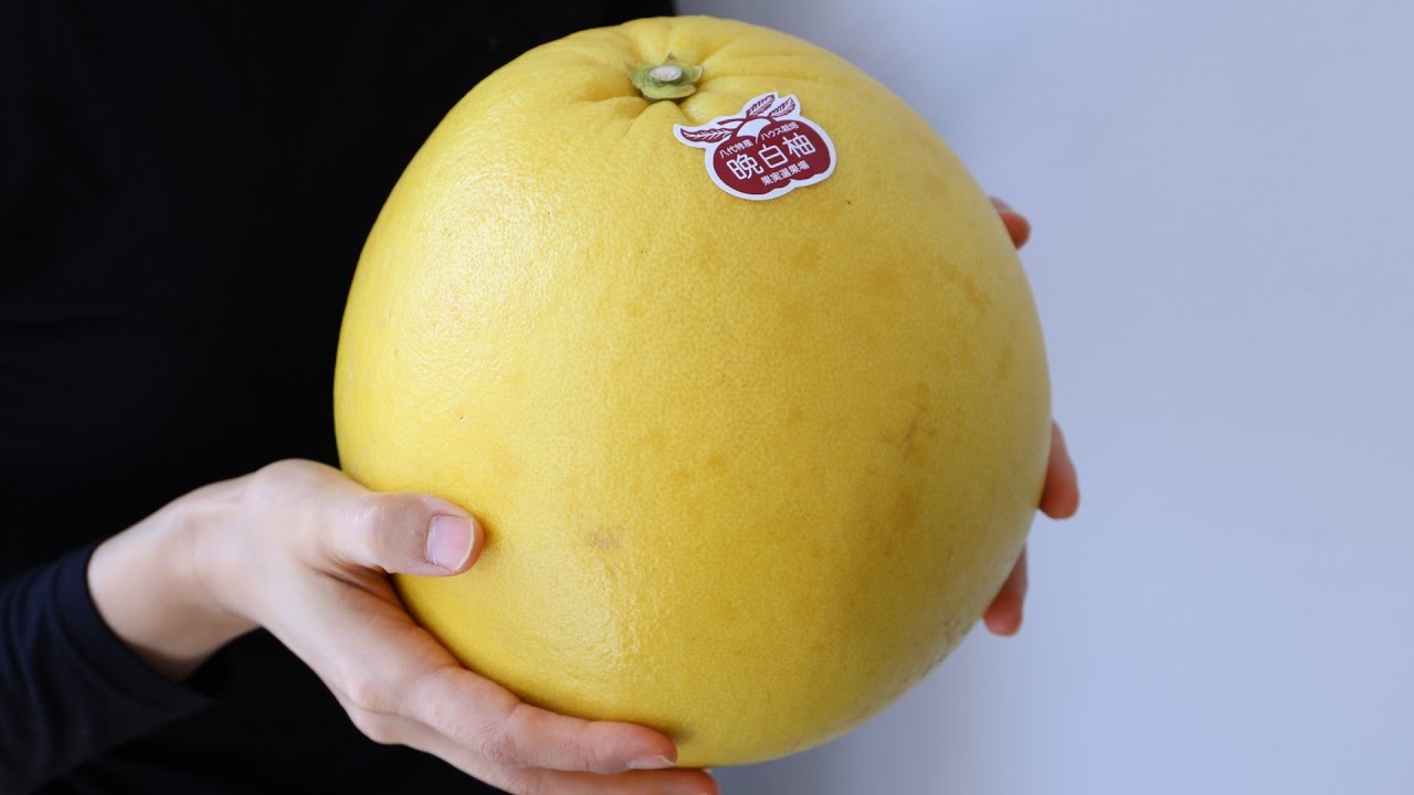 World Heaviest Citrus