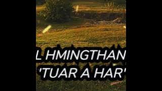 CFL Hmingthanga - Tuar a har (Lyrics)