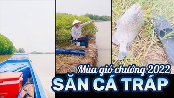 Bình Đại #2: Săn CÁ TRÁP mùa gió chướng 2022 (Phần 1) | Sea bream fishing