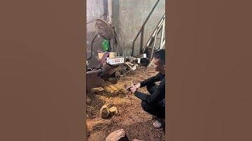 Thợ mộc tuổi 40 chưa lấy nổi vợ #mộcmỹnghệ #mockhoadep #nghiêmvượtkhó