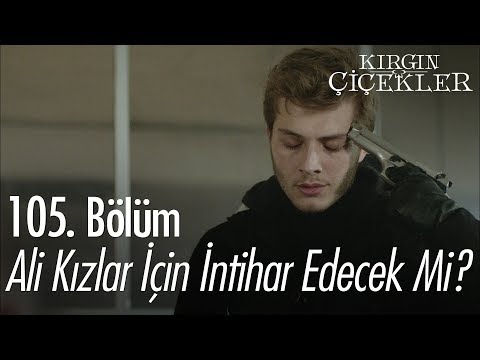 Ali kızlar için intihar edecek mi? - Kırgın Çiçekler 105. Bölüm