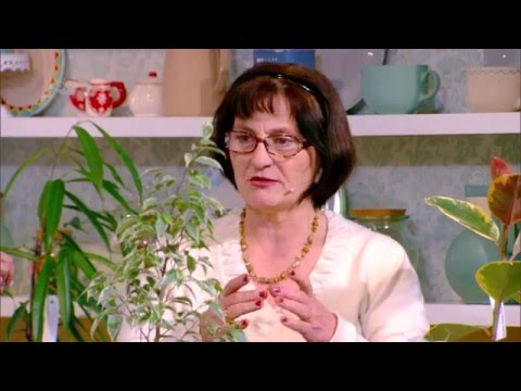 როგორ მოვუაროთ ფიკუსს | მოყვარული მებაღის რჩევები