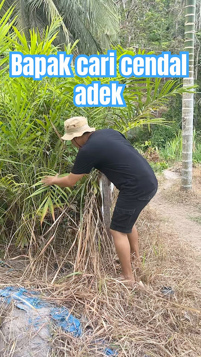 It turns out the sandals are there