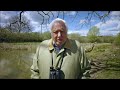 Sir David Attenborough named COP26 People’s Advocate ahead of UN climate change summit