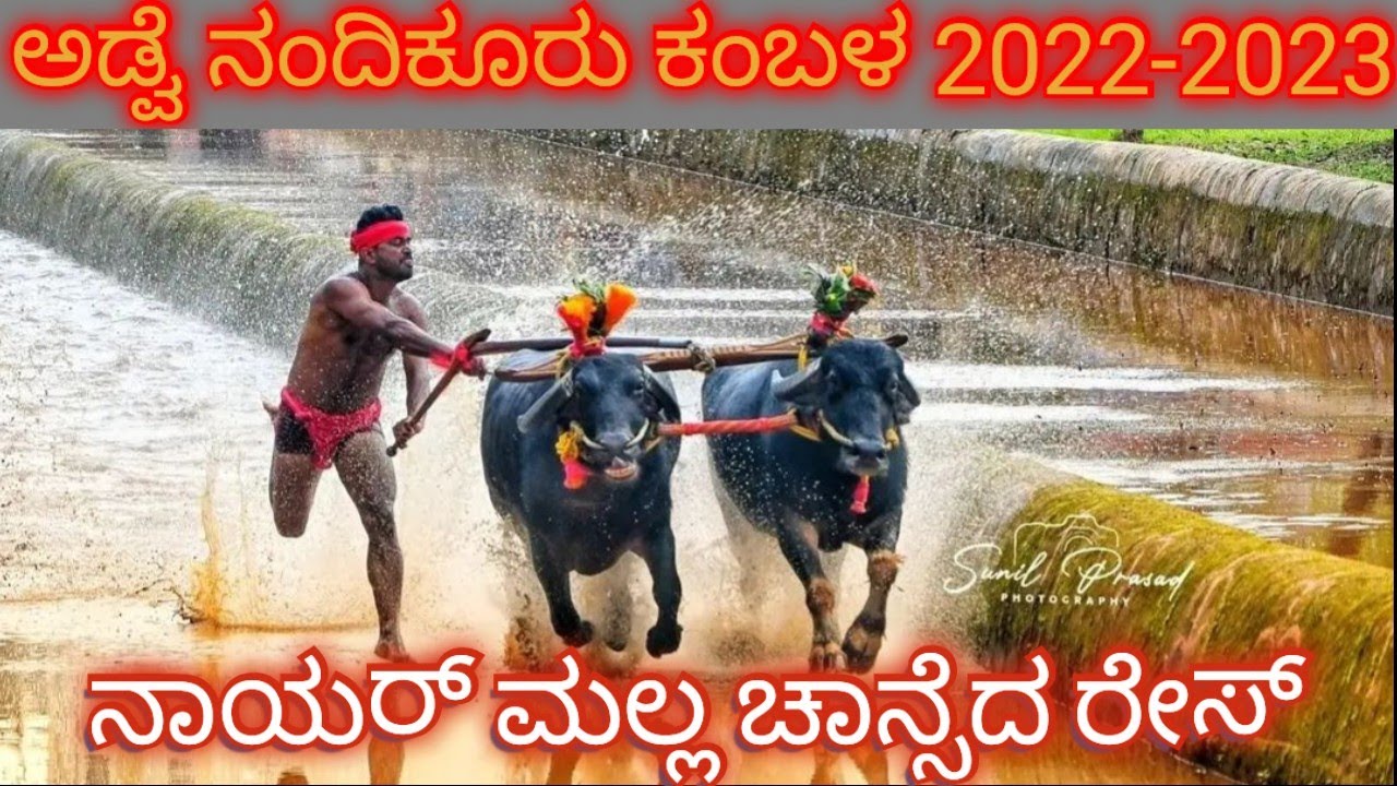 ಅಡ್ವೆ ನಂದಿಕೂರು ಕಂಬಳ ಚಾನ್ಸೆದ ರೇಸ್ ||adve nandikuru nayar malla 2022-2023 timeing reace