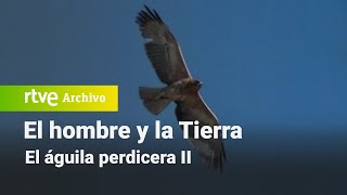 El hombre y la tierra: Chapter 30  Bonelli's Eagle II | RTVE Archivo