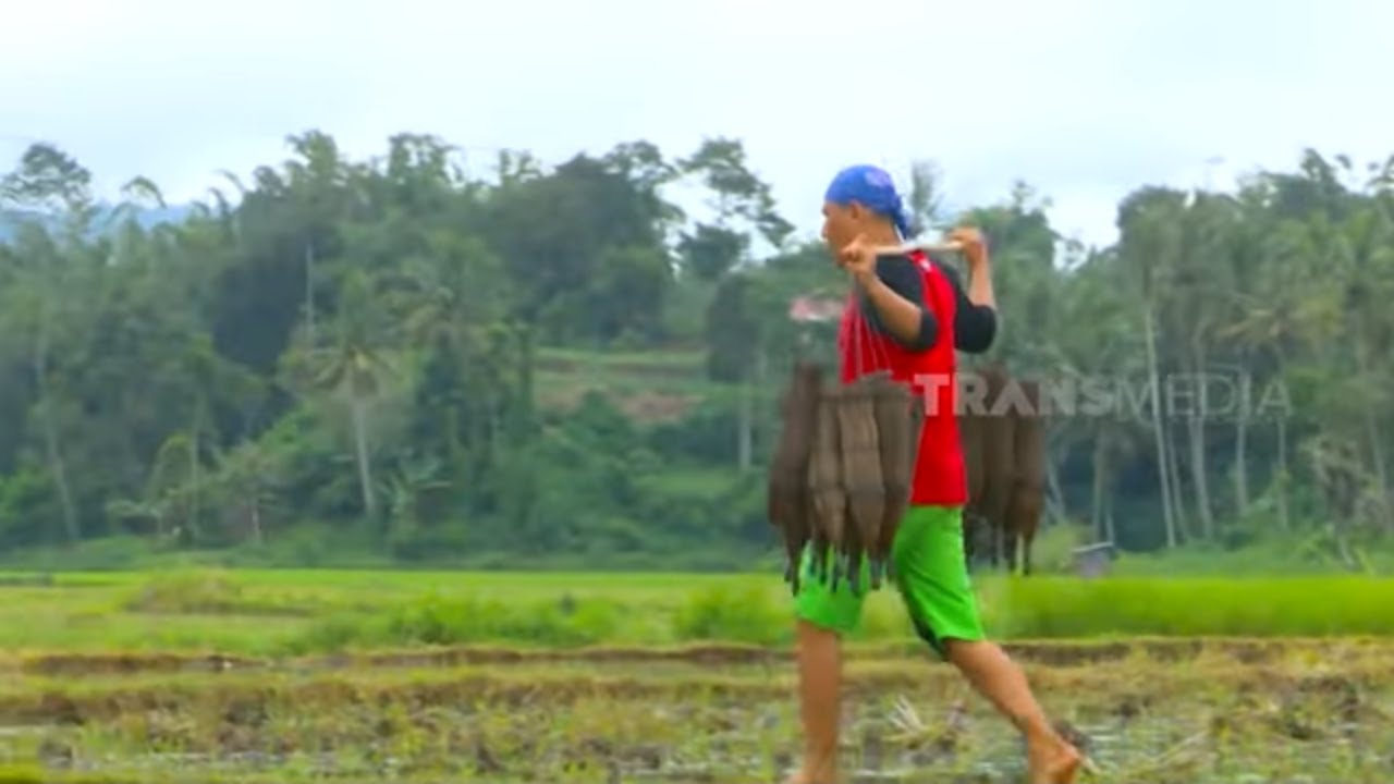 [FULL JEJAK SI GUNDUL (28/05/22)