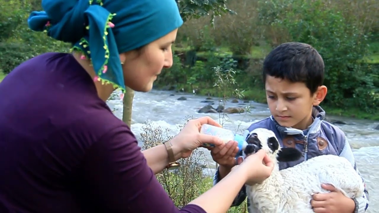 ÇATALPINAR TANITIM FİLMİ