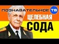 Целебные возможности соды (Познавательное ТВ, Иван Неумывакин)